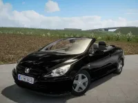 Görsel 1